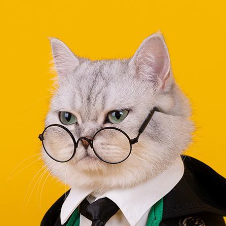 Magical Wizard Cat Costume – 4 House Styles