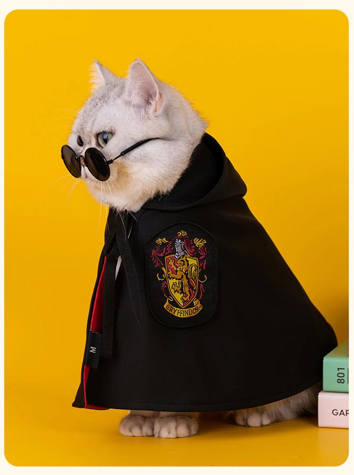 Magical Wizard Cat Costume – 4 House Styles