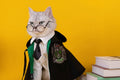 Magical Wizard Cat Costume – 4 House Styles