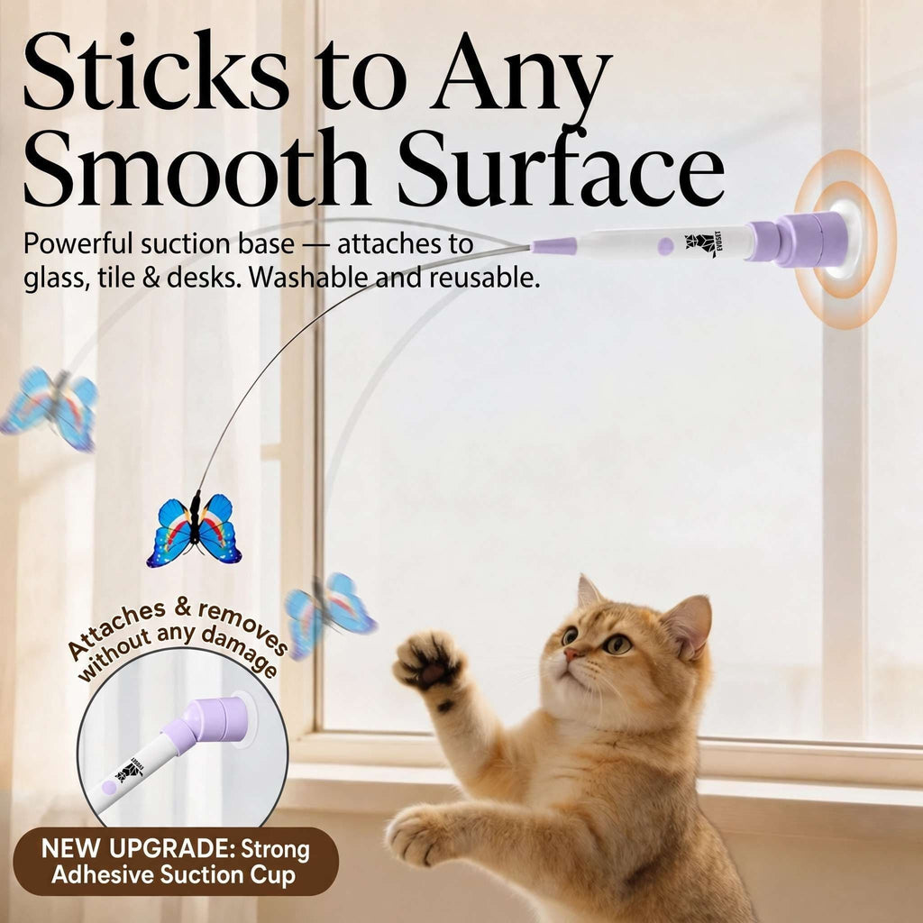 Smart Butterfly Cat Toy  🐾 V3