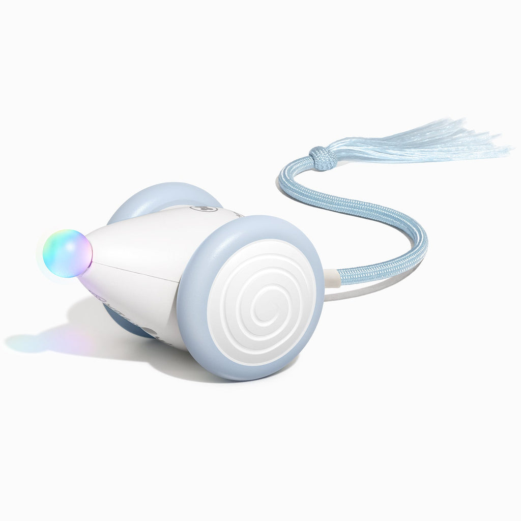 Wicked Mouse Neo
