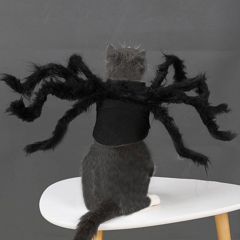 🕷️ Halloween Spider Cat Costume