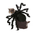 🕷️ Halloween Spider Cat Costume