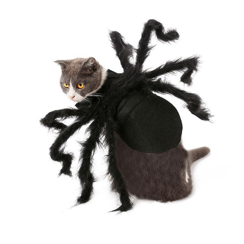 🕷️ Halloween Spider Cat Costume