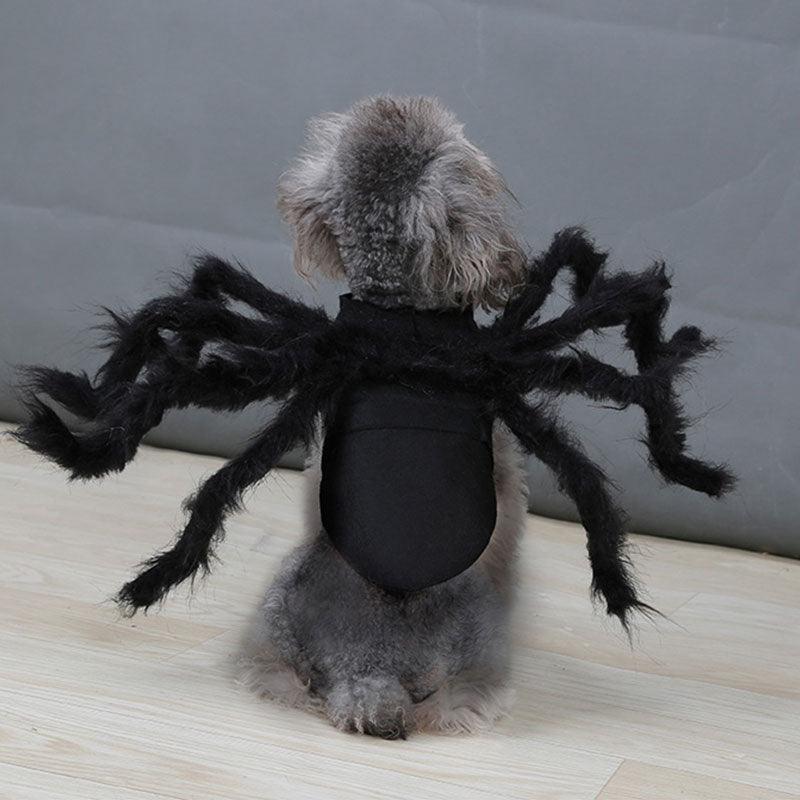 🕷️ Halloween Spider Cat Costume