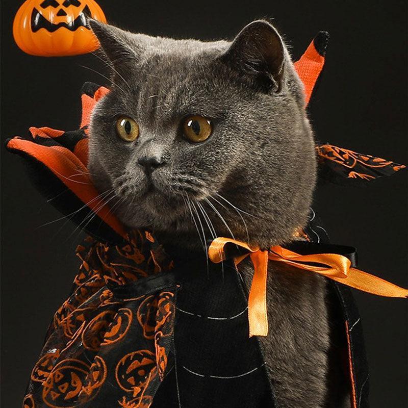 Reversible Halloween Cat Cape 🎃🦇